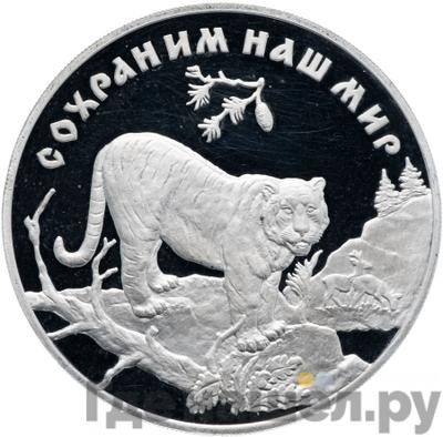 Аверс 3 рубля 1996 года ЛМД Сохраним наш мир амурский тигр