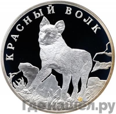Аверс 1 рубль 2005 года СПМД Красная книга - Красный волк