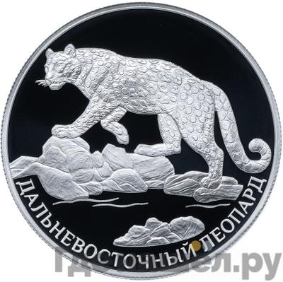 Аверс 2 рубля 2019 года СПМД Красная книга - Дальневосточный леопард