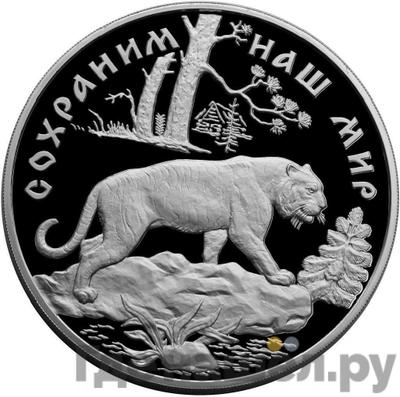 Аверс 100 рублей 1996 года ЛМД Серебро Сохраним наш мир Амурский тигр