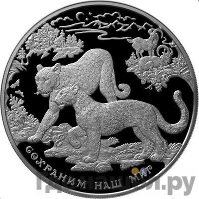 Аверс 100 рублей 2011 года ММД Серебро Сохраним наш мир переднеазиатский леопард