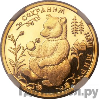 Аверс 50 рублей 1993 года ММД Сохраним наш мир бурый медведь