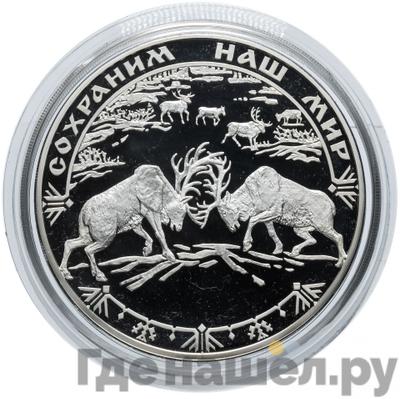 Аверс 100 рублей 2004 года СПМД Серебро Сохраним наш мир северный олень