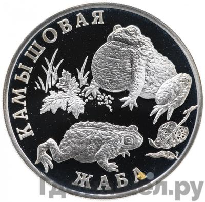 Аверс 1 рубль 2004 года СПМД Красная книга - Камышовая жаба