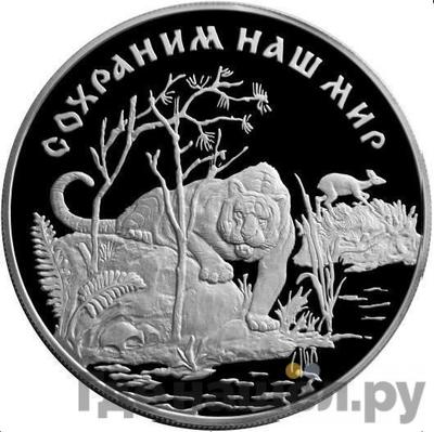 Аверс 25 рублей 1996 года ЛМД Сохраним наш мир Амурский тигр
