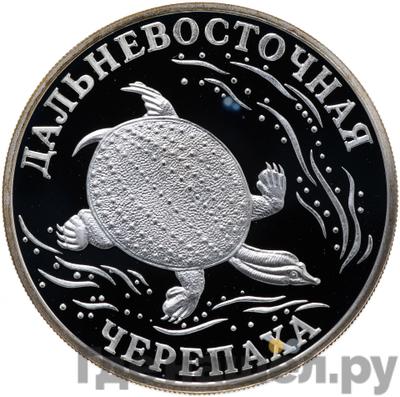 Аверс 1 рубль 2003 года СПМД Красная книга - Дальневосточная черепаха