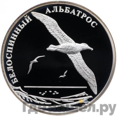 Аверс 2 рубля 2010 года СПМД Красная книга - Белоспинный альбатрос