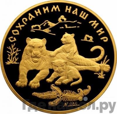Аверс 10000 рублей 1996 года ММД Сохраним наш мир амурский тигр
