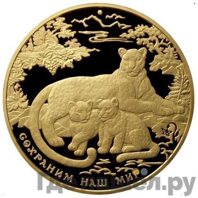 Аверс 10000 рублей 2011 года ММД Сохраним наш мир переднеазиатский леопард