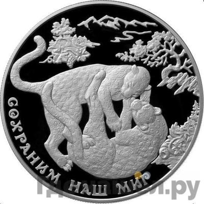 Аверс 25 рублей 2011 года ММД Сохраним наш мир переднеазиатский леопард