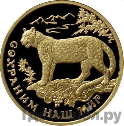 Аверс 100 рублей 2011 года ММД Золото Сохраним наш мир переднеазиатский леопард
