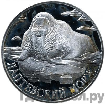 Аверс 1 рубль 1998 года СПМД Красная книга - Лаптевский морж