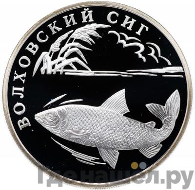 Монеты 2005 года