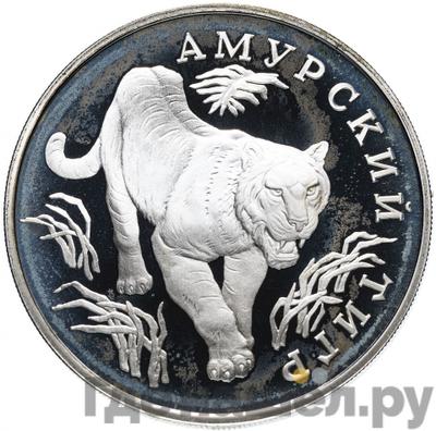 Монеты 1993 года