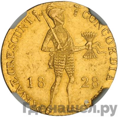 Монеты 1828 года