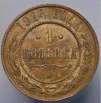 1 копейка 1914 года СПБ