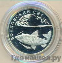 1 рубль 2005 года СПМД