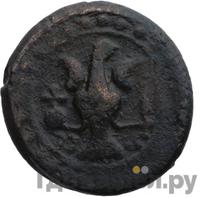 Бисти 1796 года