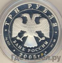 3 рубля 2005 года СПМД