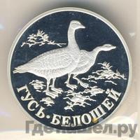 1 рубль 1998 года СПМД