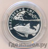 1 рубль 2005 года СПМД