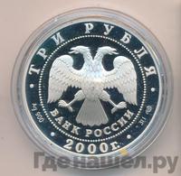 3 рубля 2000 года СПМД