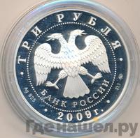 3 рубля 2009 года ММД