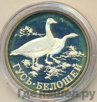 1 рубль 1998 года СПМД