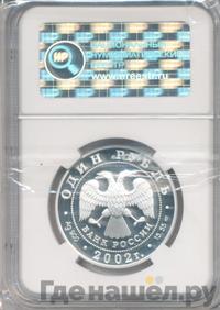 1 рубль 2002 года СПМД