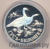 1 рубль 1998 года СПМД