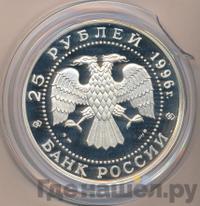 25 рублей 1996 года ММД Серебро