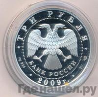 3 рубля 2009 года СПМД