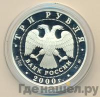 3 рубля 2000 года ММД