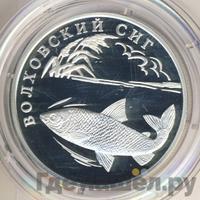 1 рубль 2005 года СПМД