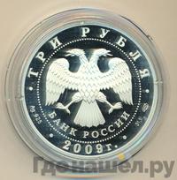 3 рубля 2009 года СПМД