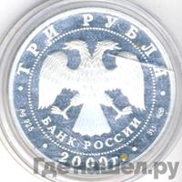 3 рубля 2009 года СПМД