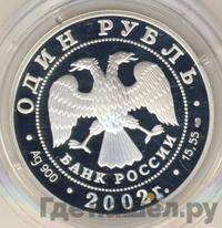 1 рубль 2002 года СПМД