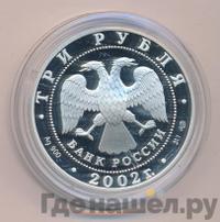 3 рубля 2002 года СПМД