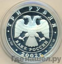 3 рубля 2002 года СПМД