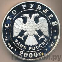 100 рублей 2000 года ММД Серебро