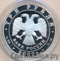 3 рубля 2002 года СПМД