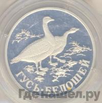 1 рубль 1998 года СПМД