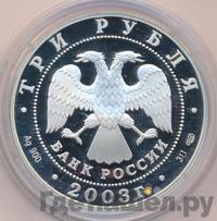 3 рубля 2003 года СПМД