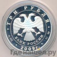 3 рубля 2009 года СПМД