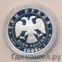 3 рубля 2009 года ММД