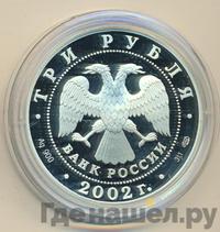 3 рубля 2002 года СПМД