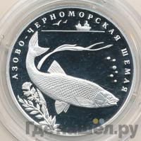 2 рубля 2008 года СПМД