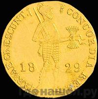 Дукат 1829 года  Нидерландская имитация