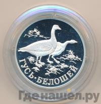 1 рубль 1998 года СПМД