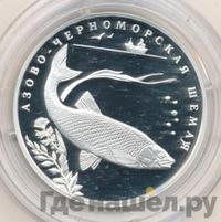 2 рубля 2008 года СПМД